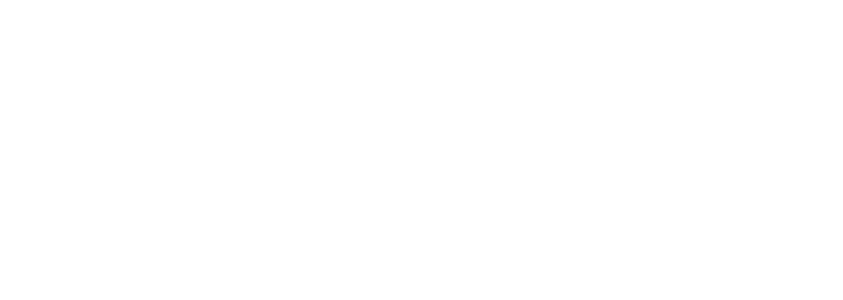Boka Symphony Orchesta